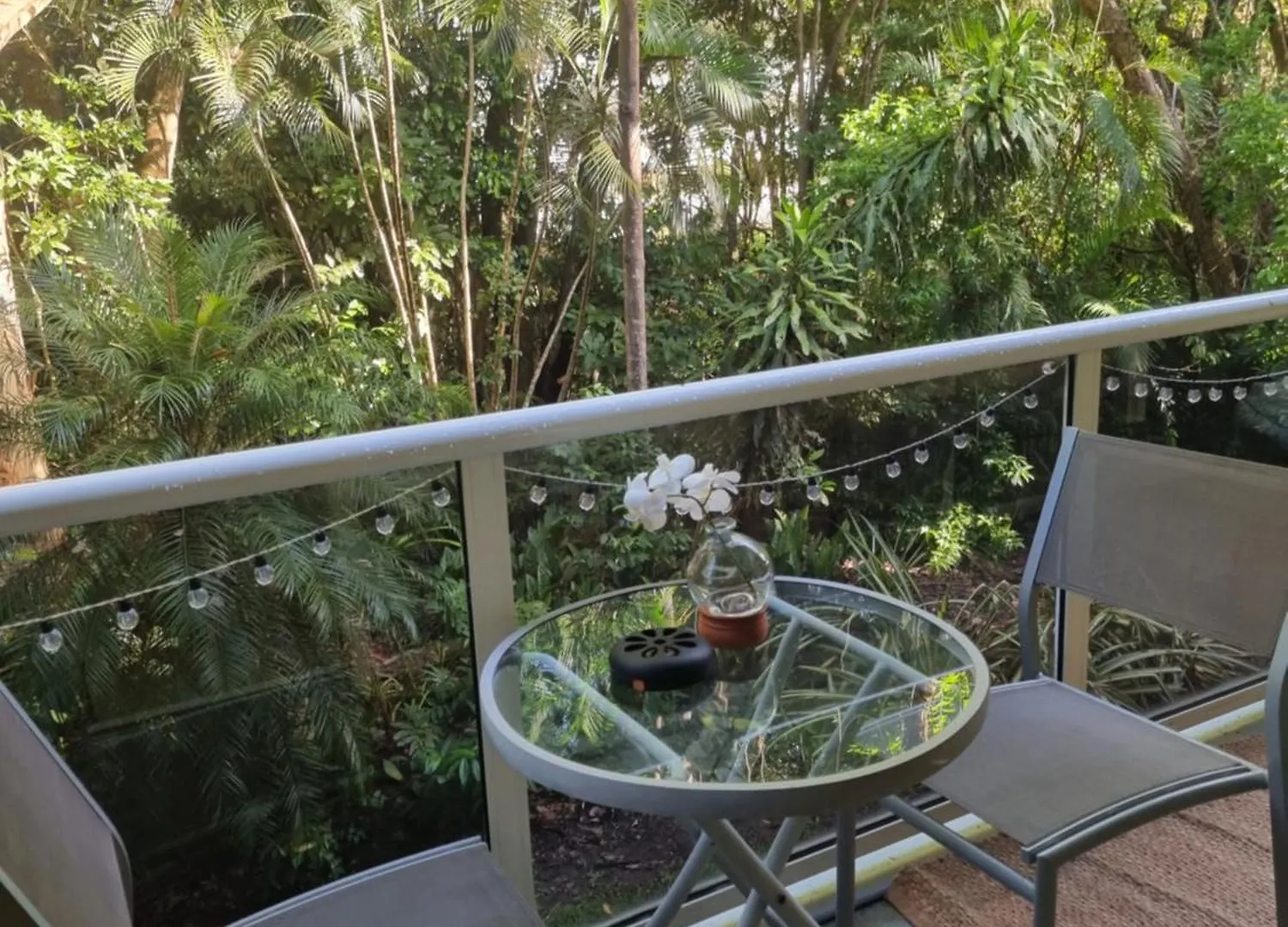 Your Coral Coast Resort Inn Palm Cove Australia